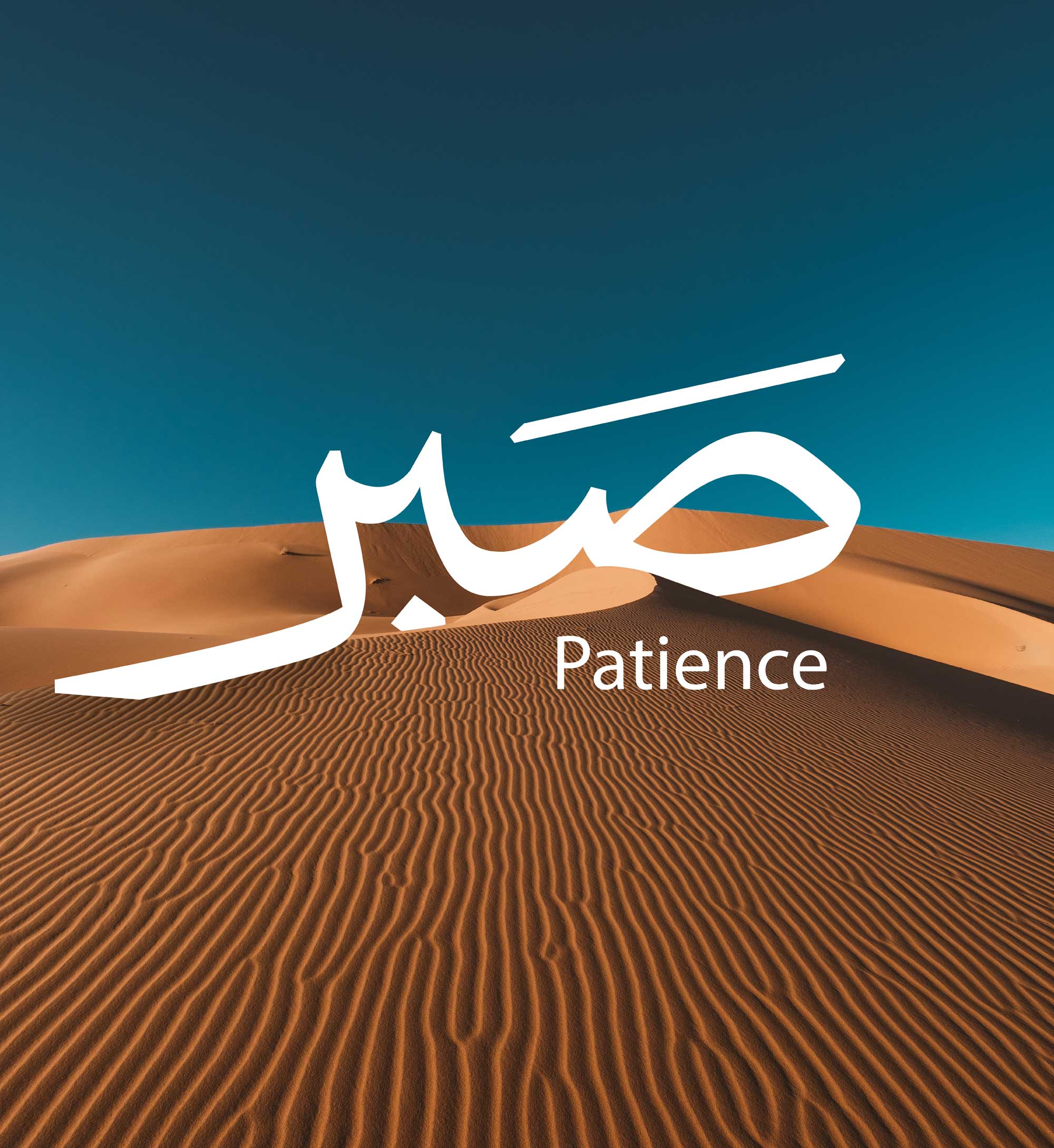 patience-jav